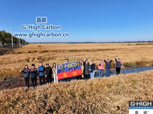 嘉碳助力農(nóng)機(jī)生產(chǎn) 員工金秋盤錦樂(lè)享“稻黃蟹肥”