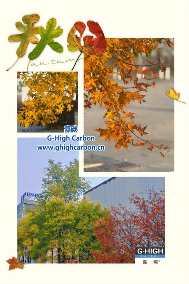 廿載秋華 嘉碳品潤時光