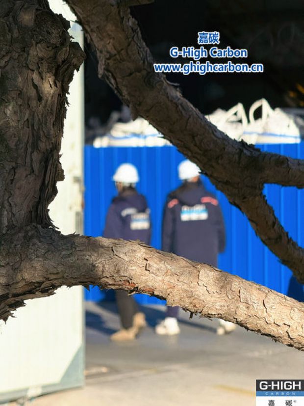 虬干擎風，實干凝勁